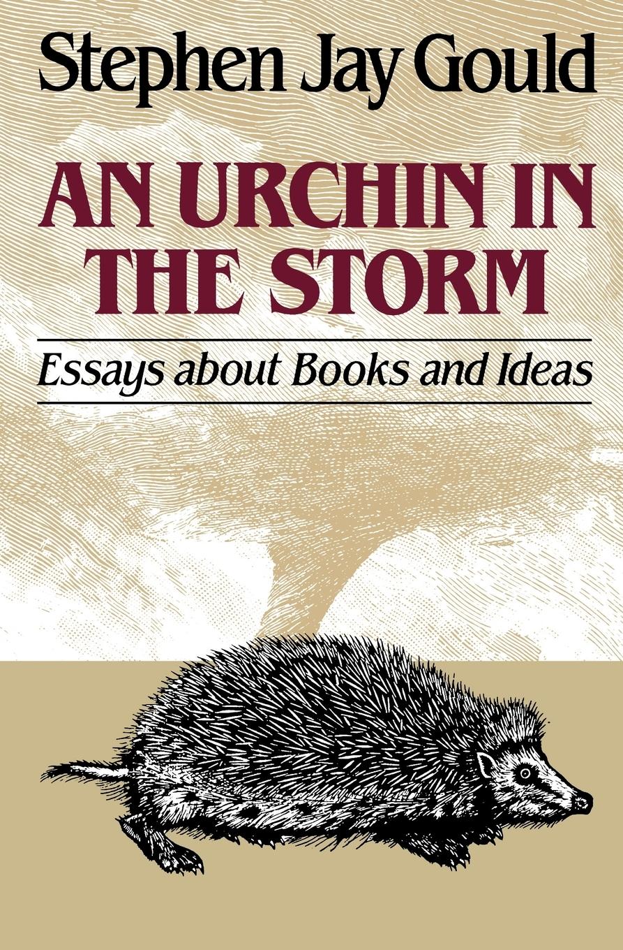 Vorderes Coverbild Urchin in the Storm
