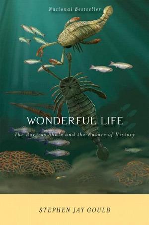 Vorderes Coverbild Wonderful Life