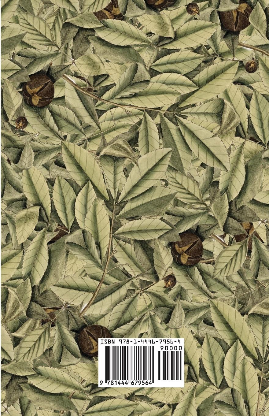 Rückseitencover Locusts And Wild Honey