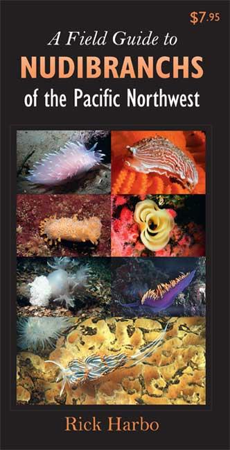 Vorderes Coverbild A Field Guide to Nudibranchs of the Pacific Northwest