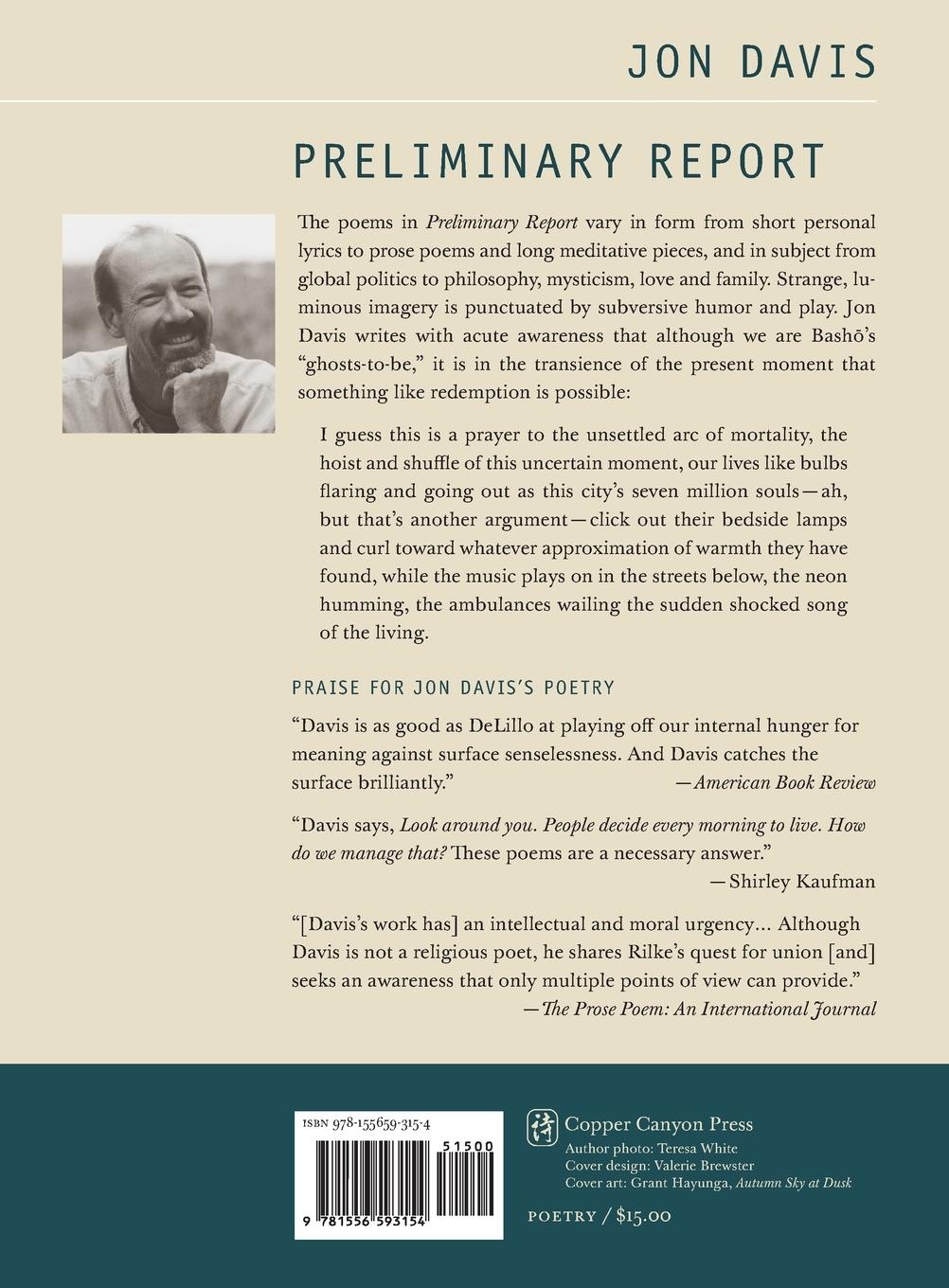 Rückseitencover Preliminary Report