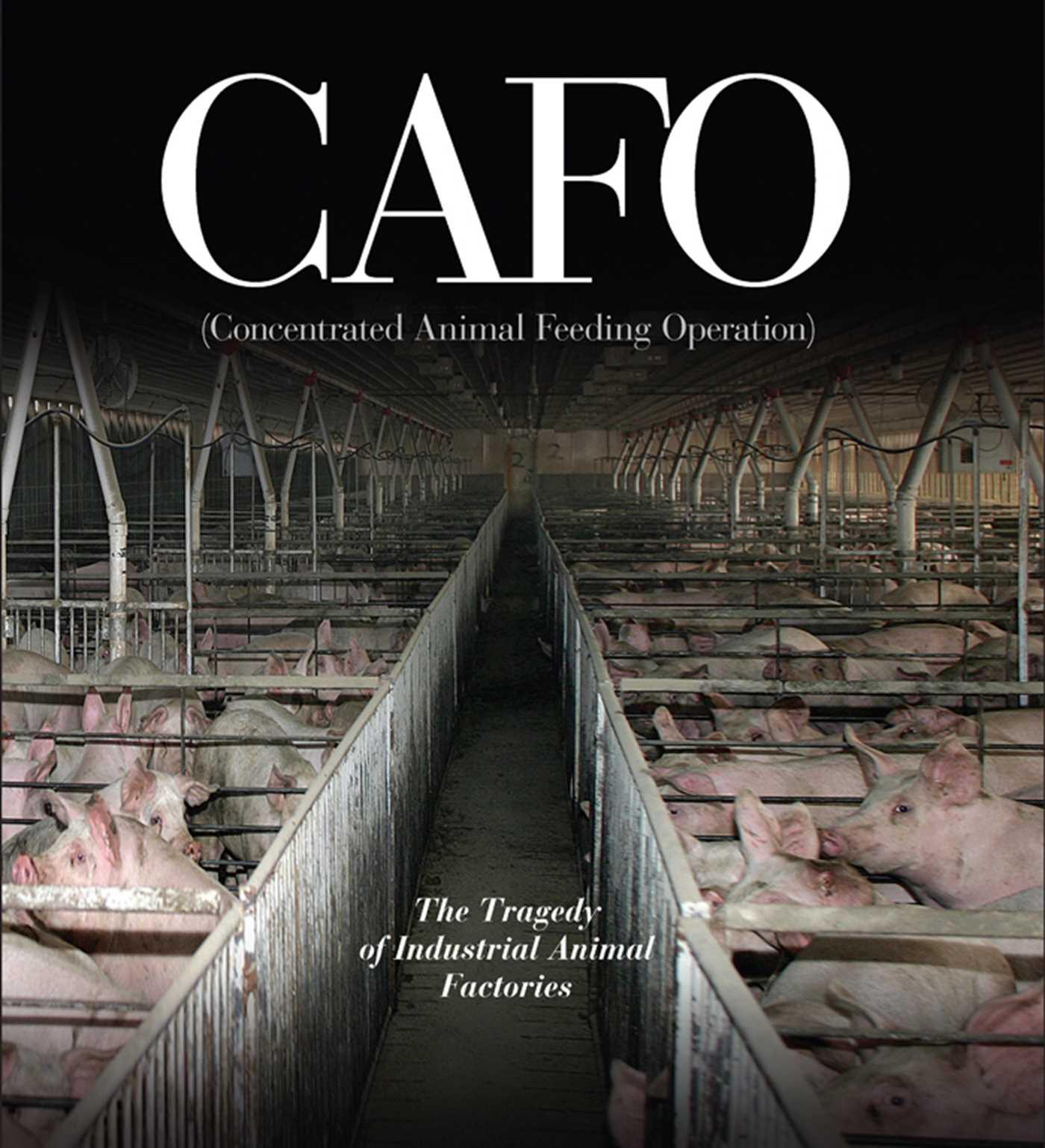 Vorderes Coverbild Cafo