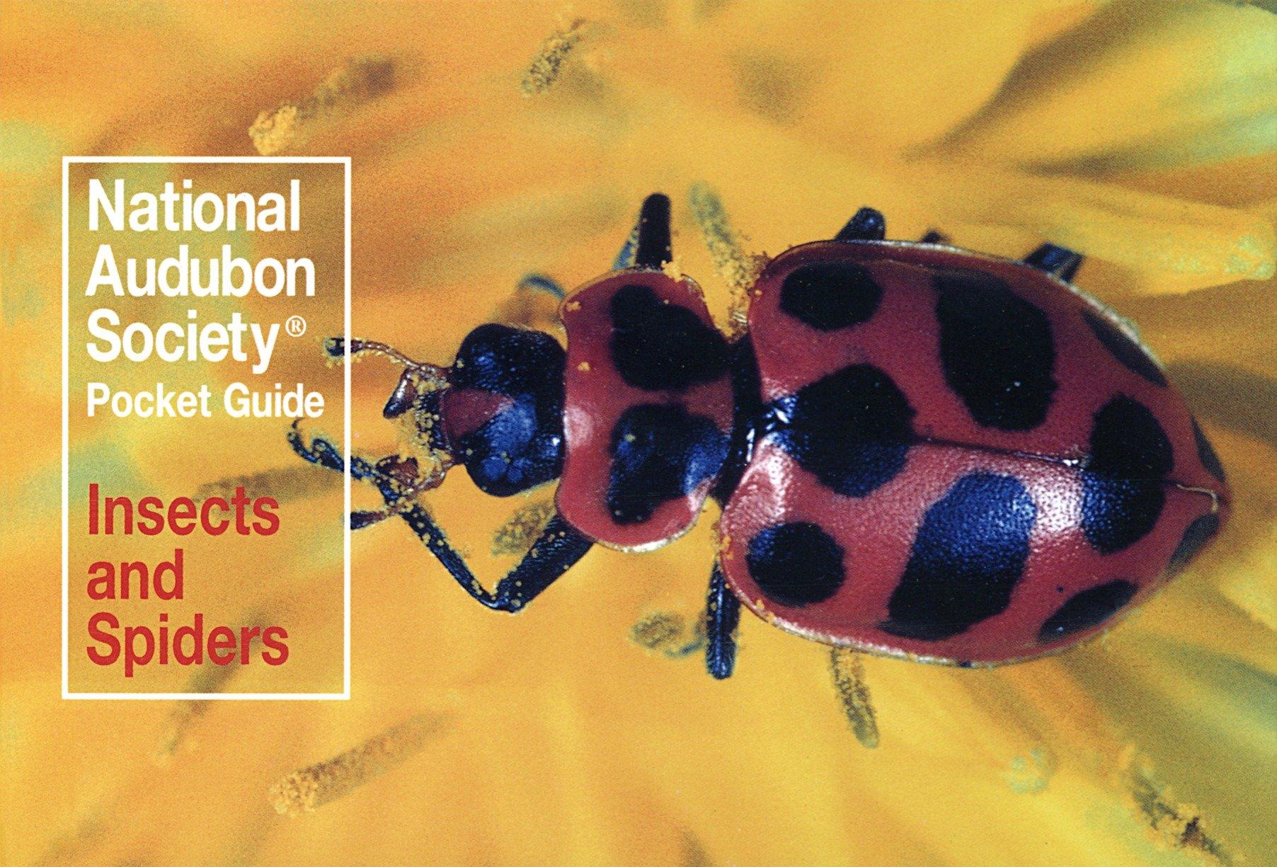 Vorderes Coverbild National Audubon Society Pocket Guide: Insects and Spiders