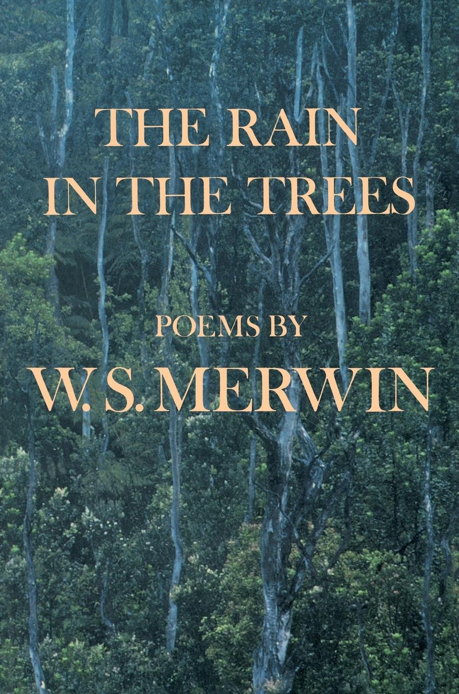 Vorderes Coverbild The Rain in the Trees