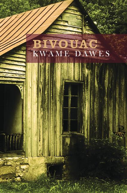 Vorderes Coverbild Bivouac