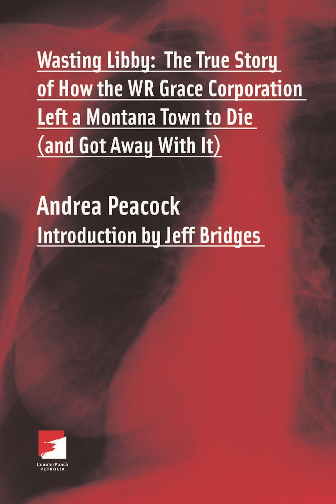 Vorderes Coverbild Wasting Libby