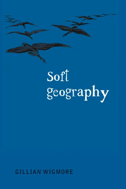 Vorderes Coverbild Soft Geography