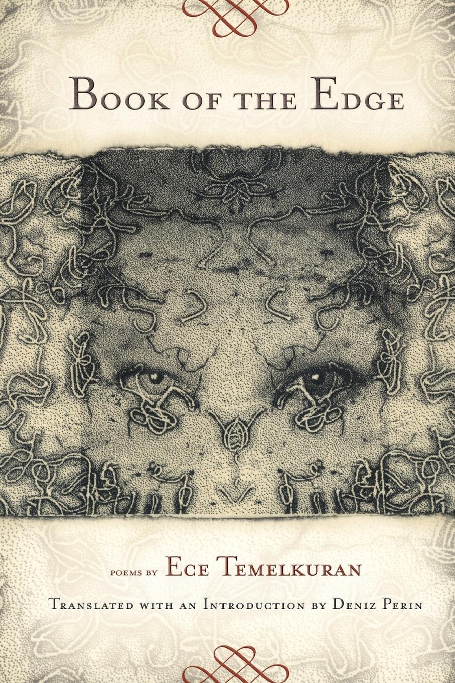 Vorderes Coverbild Book of the Edge