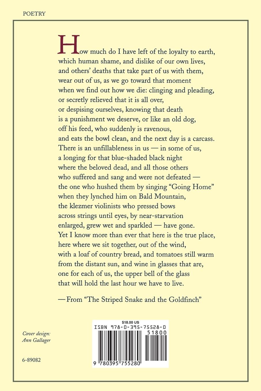 Rückseitencover Imperfect Thirst