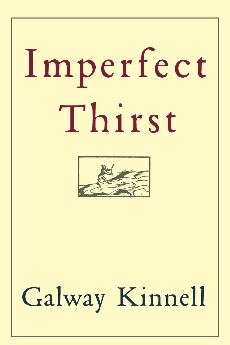 Vorderes Coverbild Imperfect Thirst