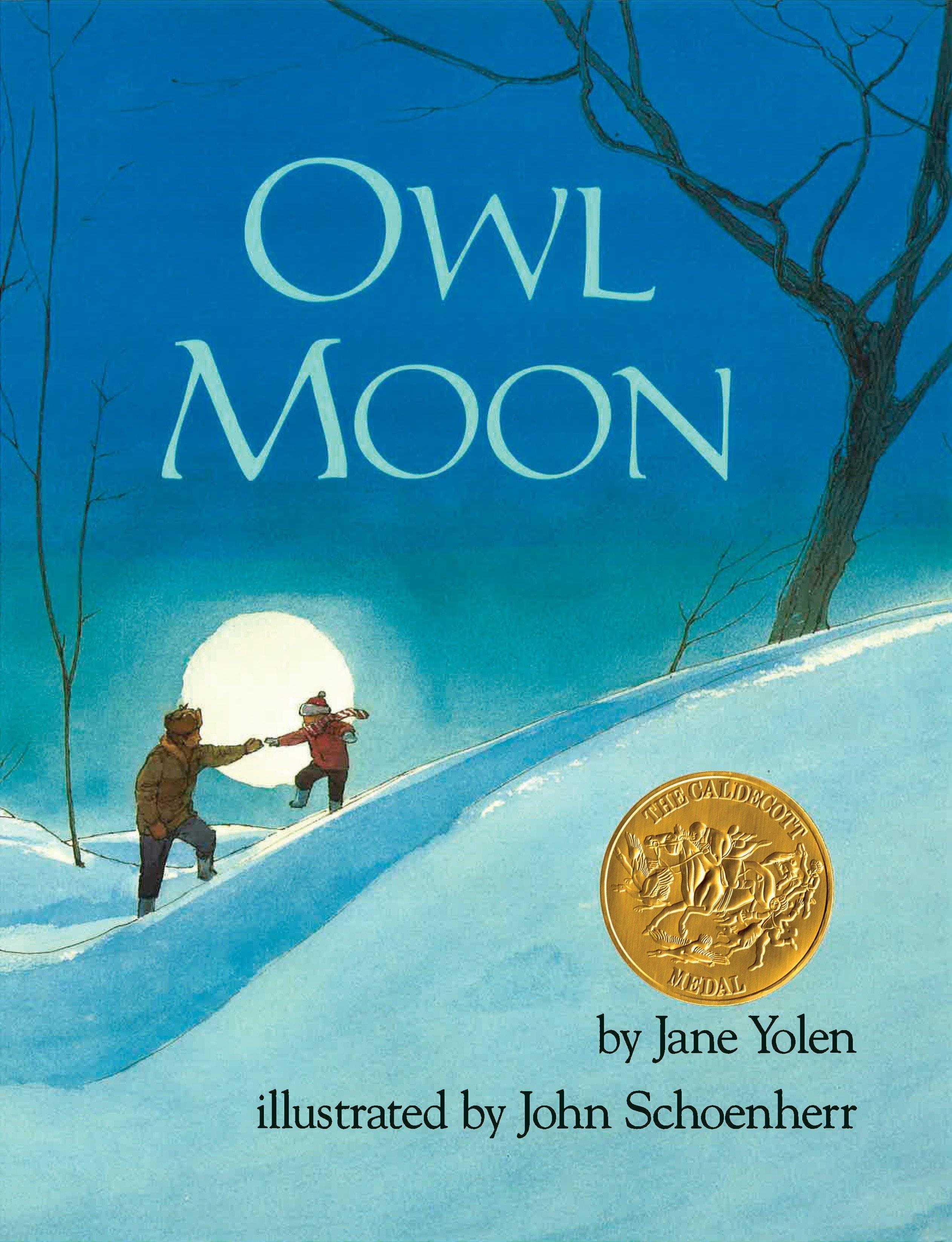 Vorderes Coverbild Owl Moon