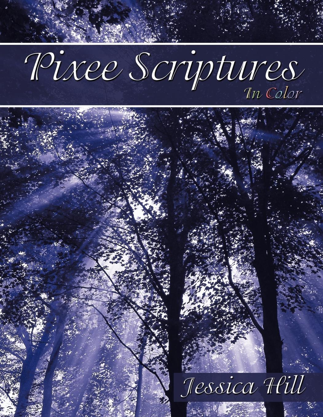 Vorderes Coverbild Pixee Scriptures