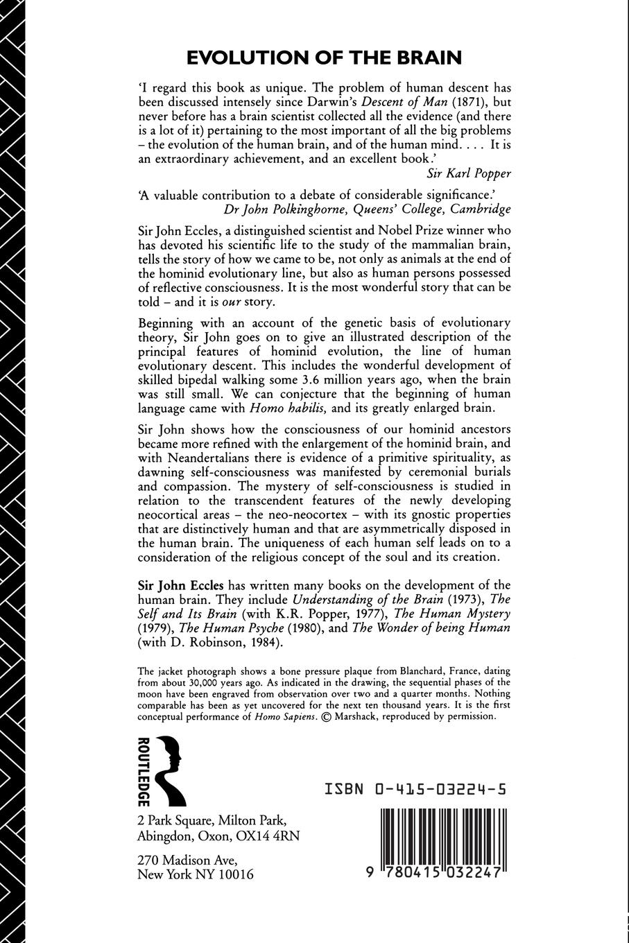 Rückseitencover Evolution of the Brain