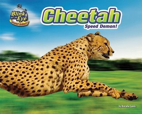 Vorderes Coverbild Cheetah