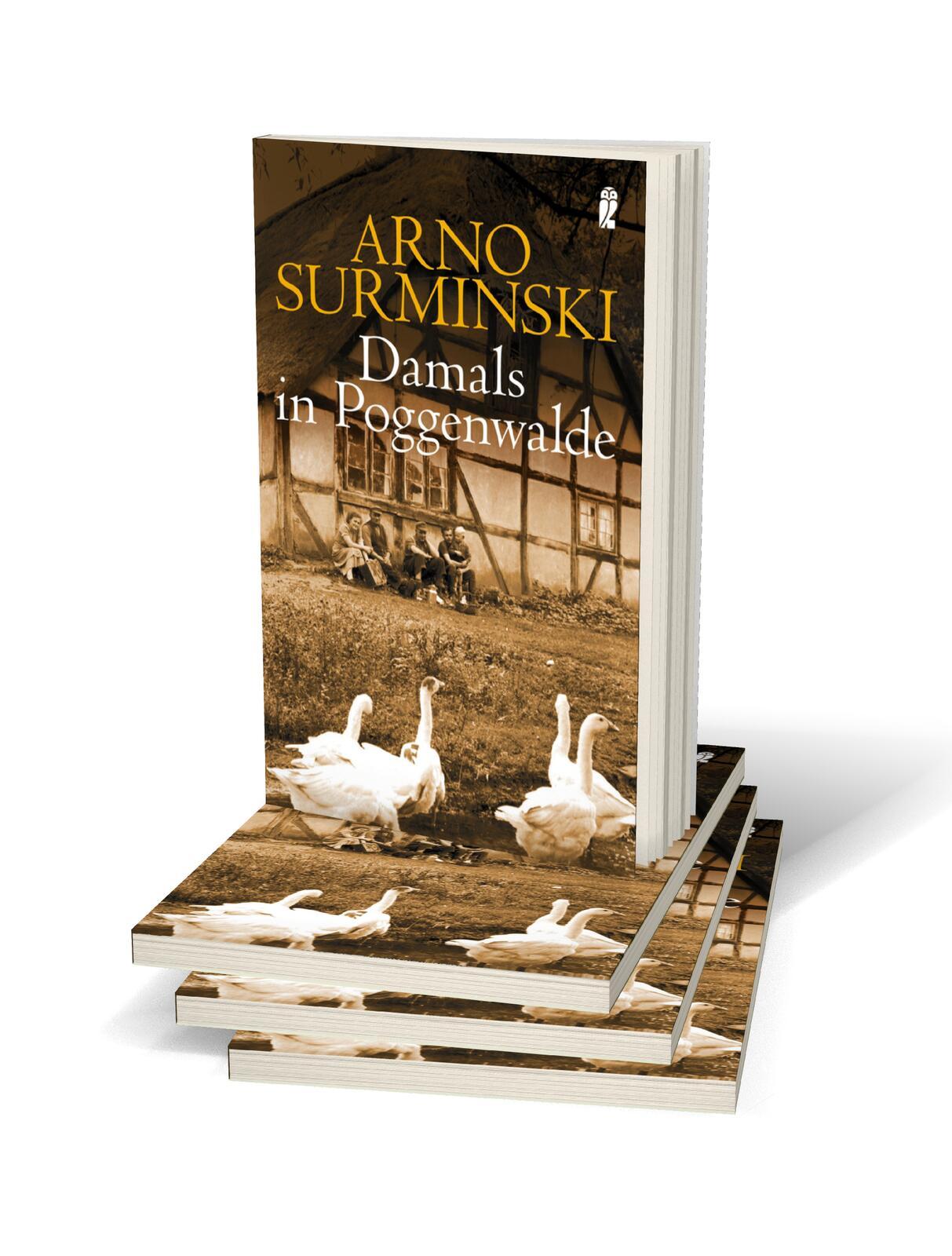 Beispielinhalt (Bild) Damals in Poggenwalde