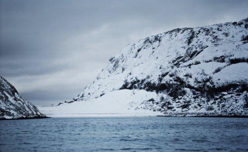 Beispielinhalt (Bild) Noma