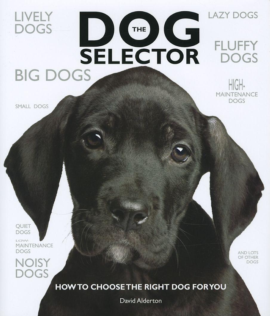 Vorderes Coverbild The Dog Selector
