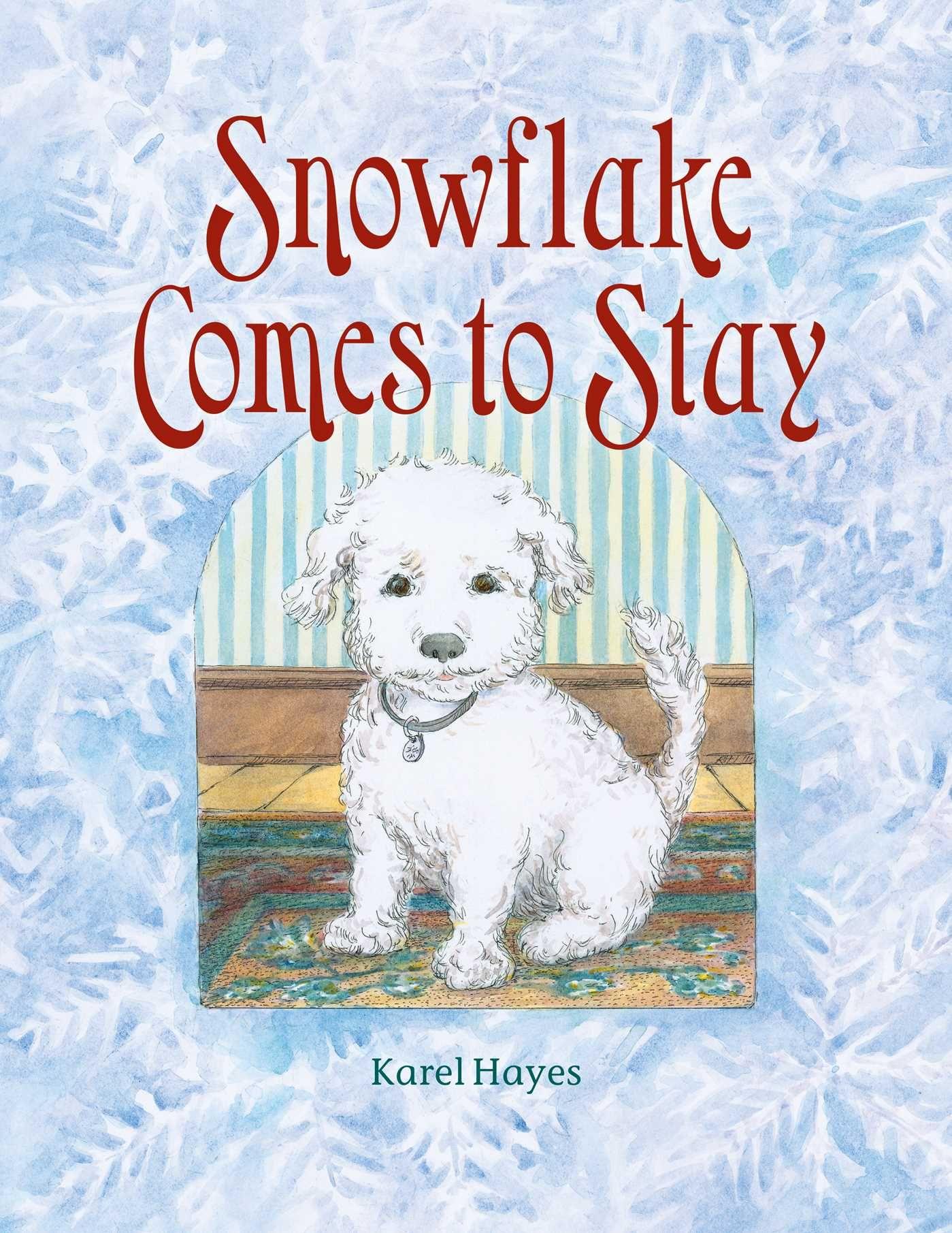 Vorderes Coverbild Snowflake Comes to Stay