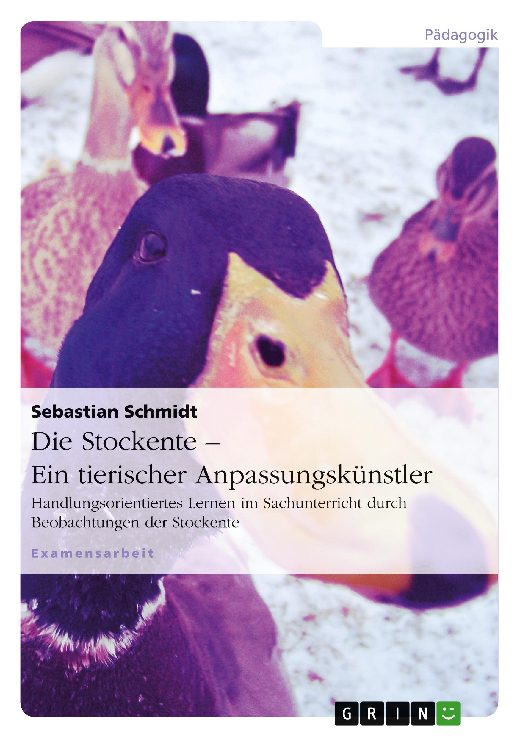 Vorderes Coverbild Die Stockente - ein tierischer Anpassungskünstler