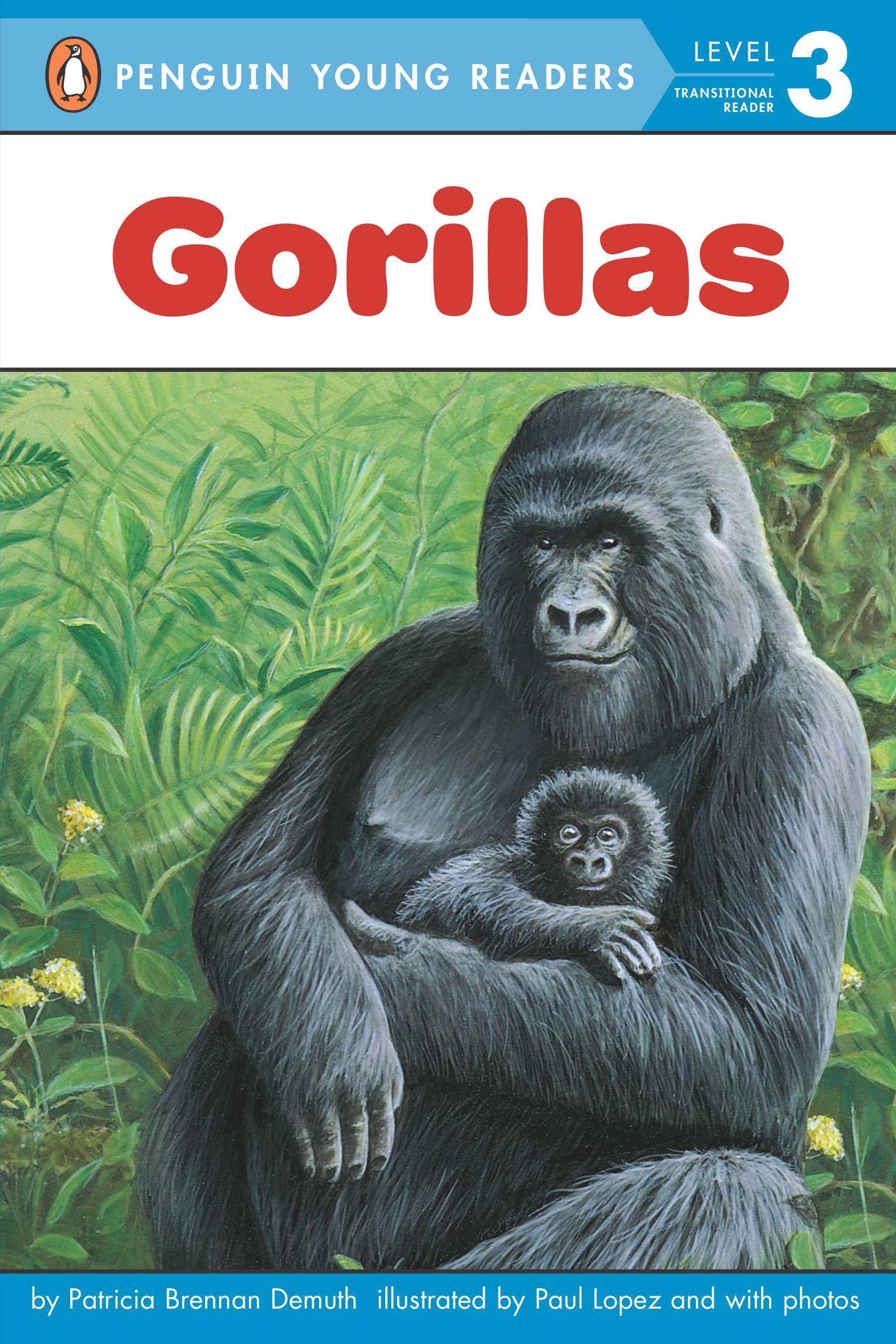 Vorderes Coverbild Gorillas