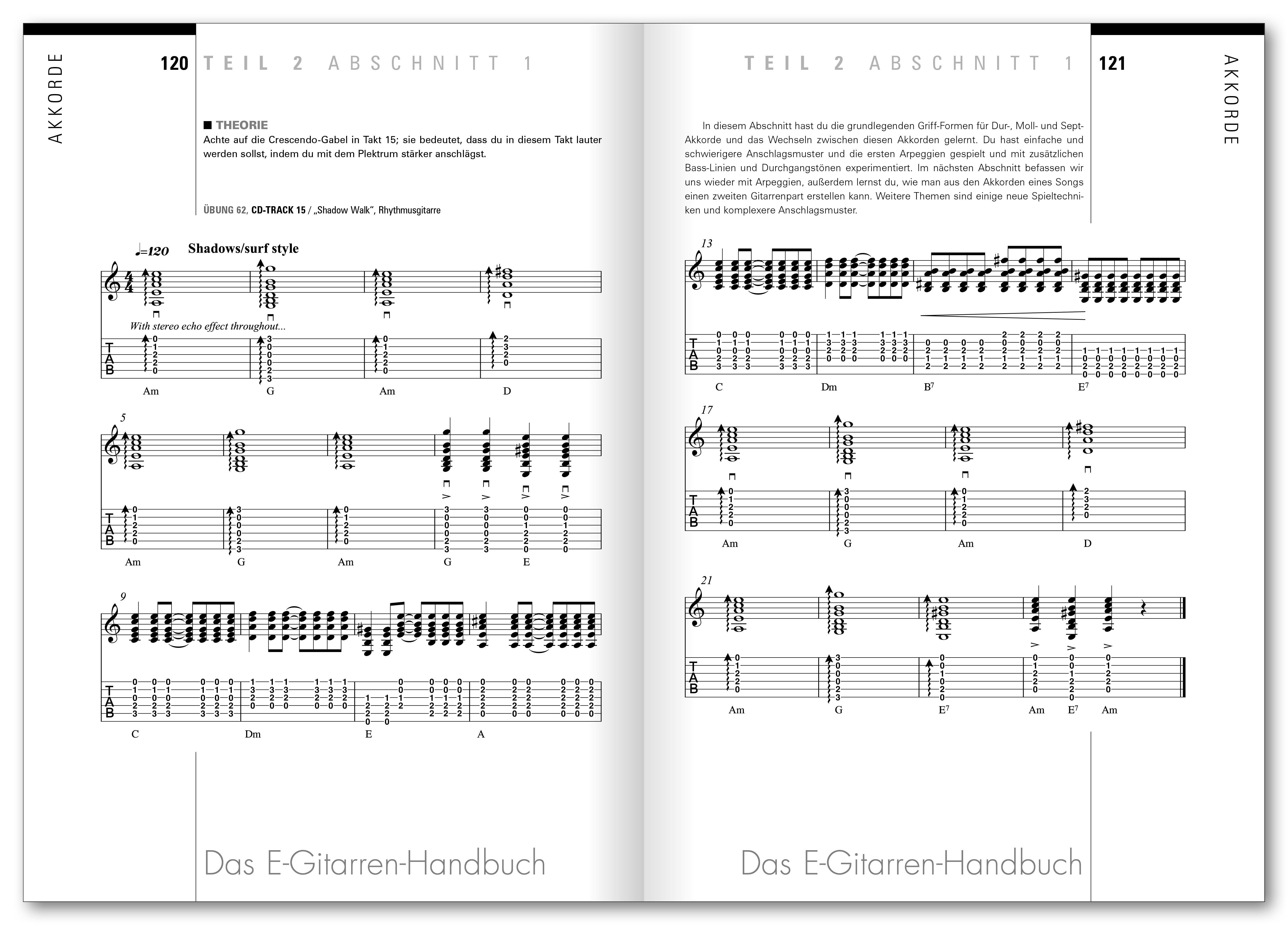 Beispielinhalt (Bild) Das E-Gitarren-Handbuch