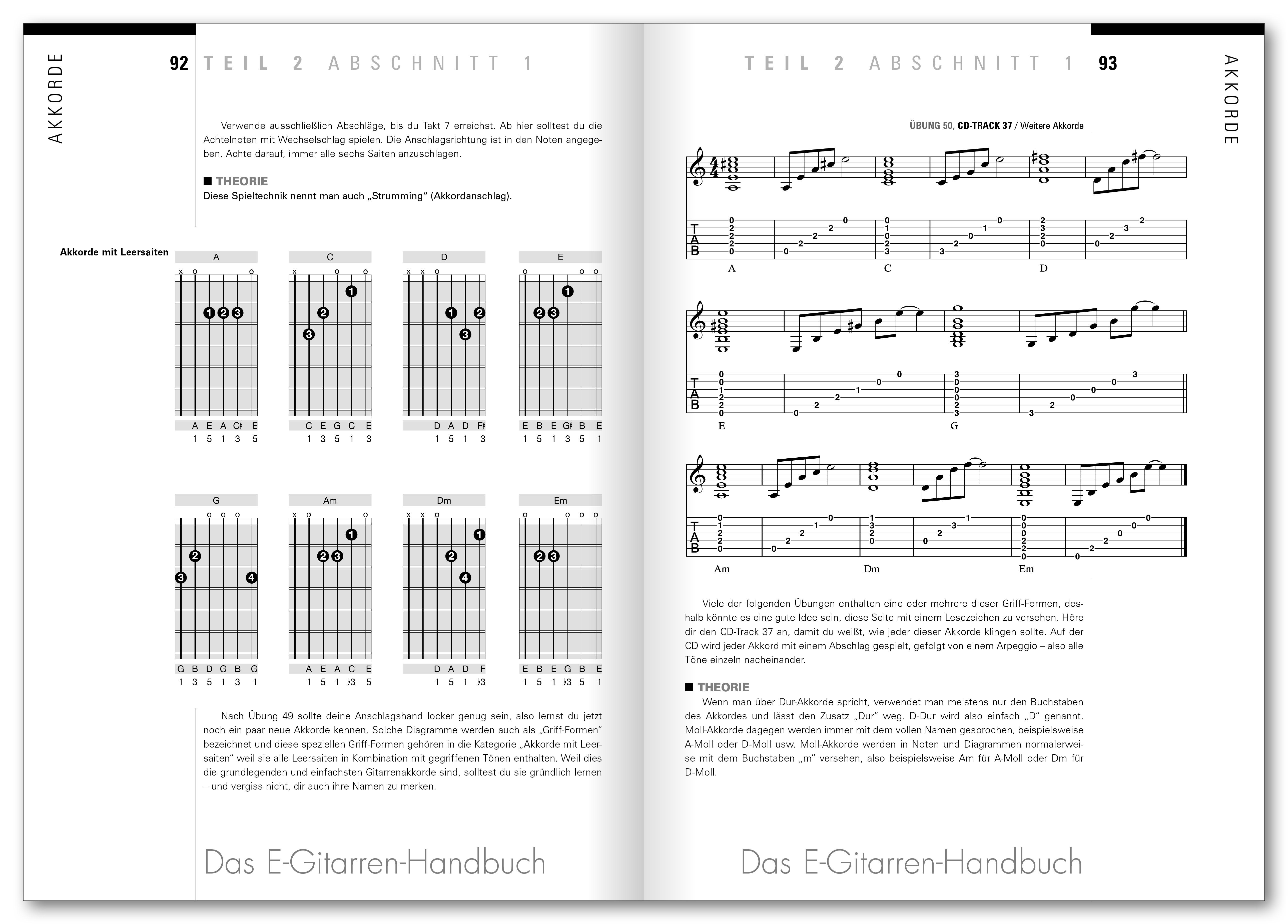 Beispielinhalt (Bild) Das E-Gitarren-Handbuch