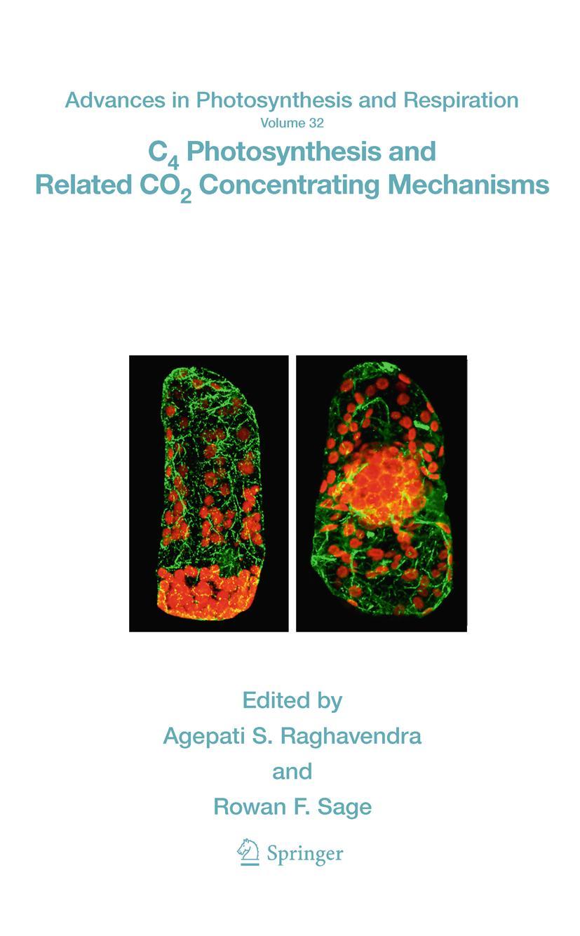 Vorderes Coverbild C4 Photosynthesis and Related CO2 Concentrating Mechanisms