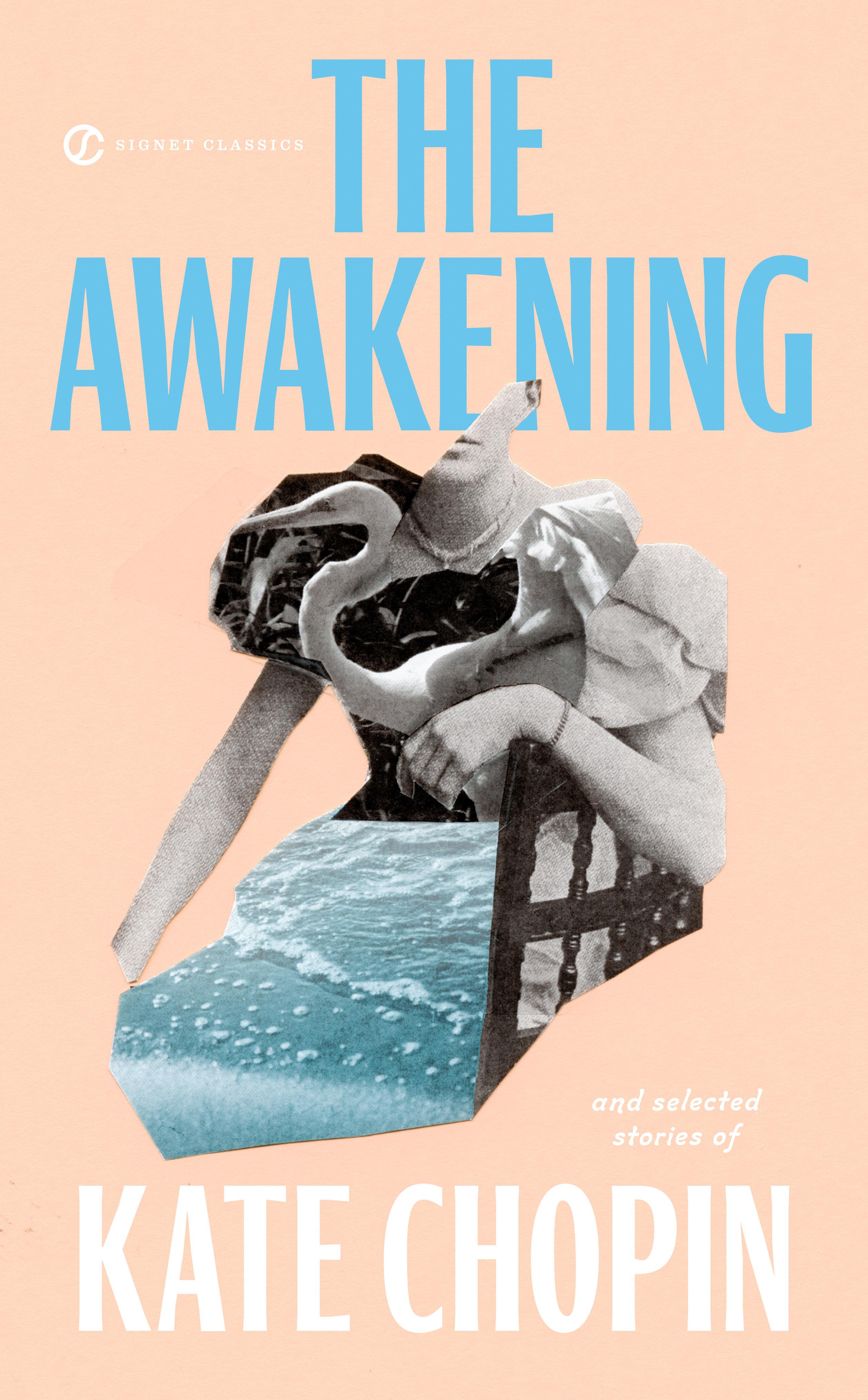 Vorderes Coverbild The Awakening