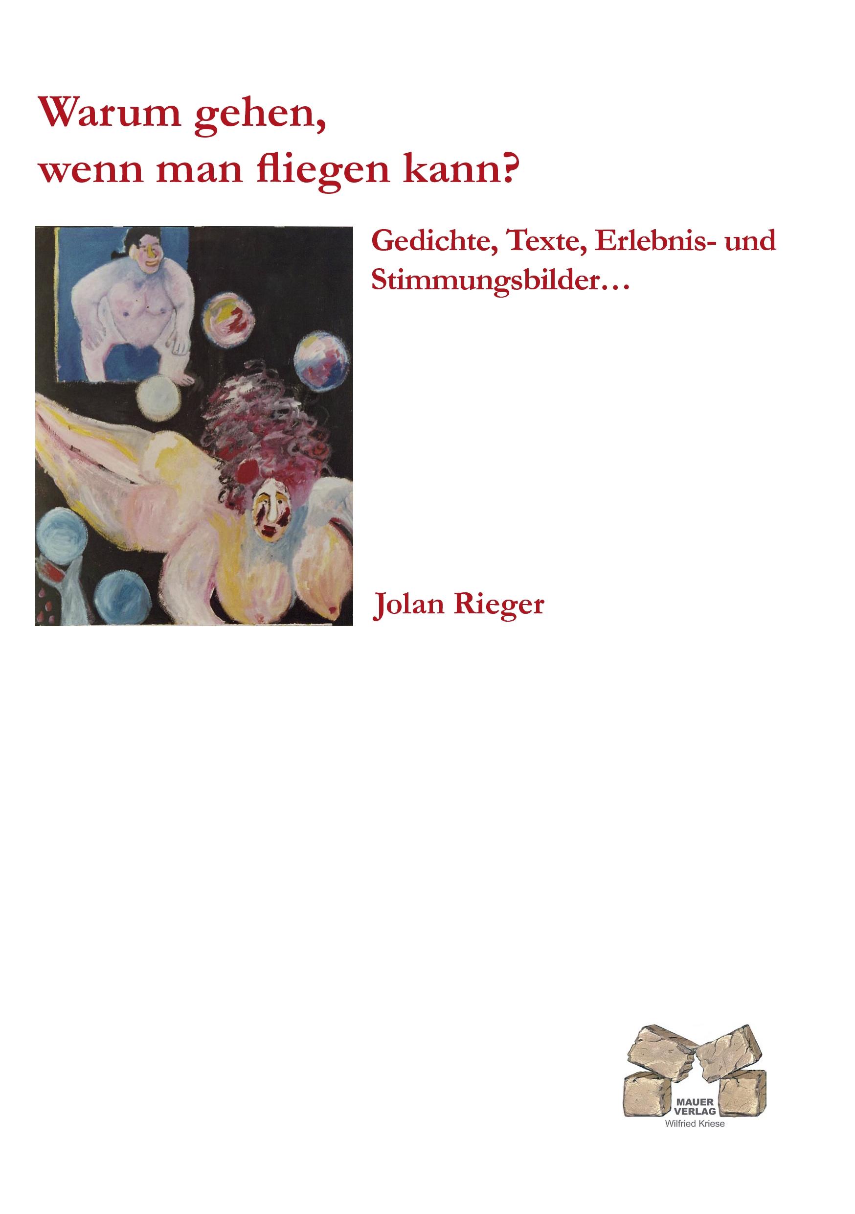 Vorderes Coverbild Warum gehen, wenn man fliegen kann?