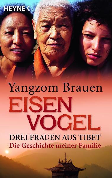 Vorderes Coverbild Eisenvogel