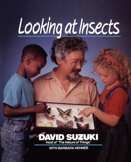 Vorderes Coverbild Looking at Insects