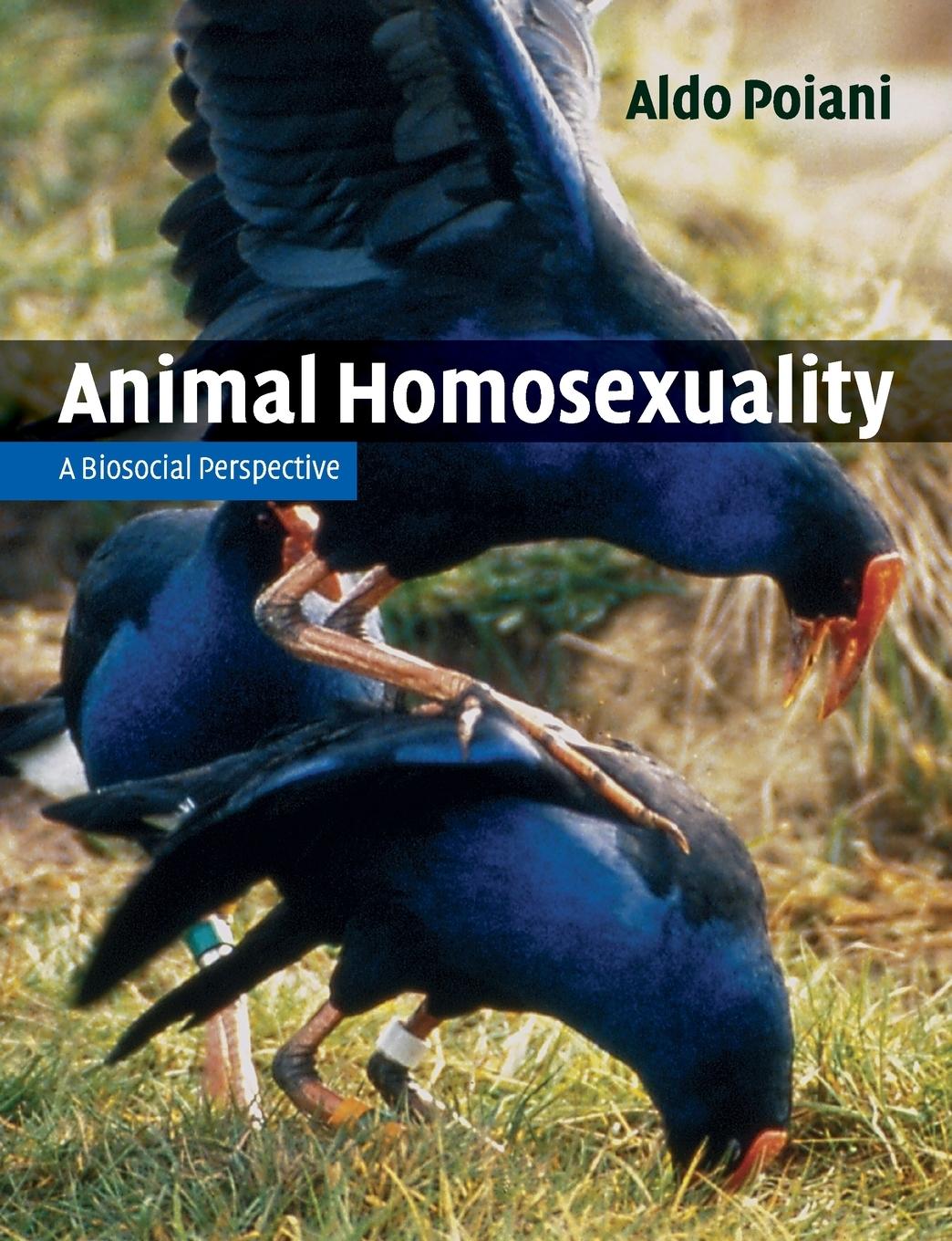 Vorderes Coverbild Animal Homosexuality