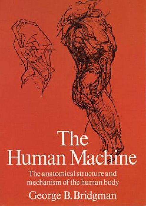 Vorderes Coverbild The Human Machine
