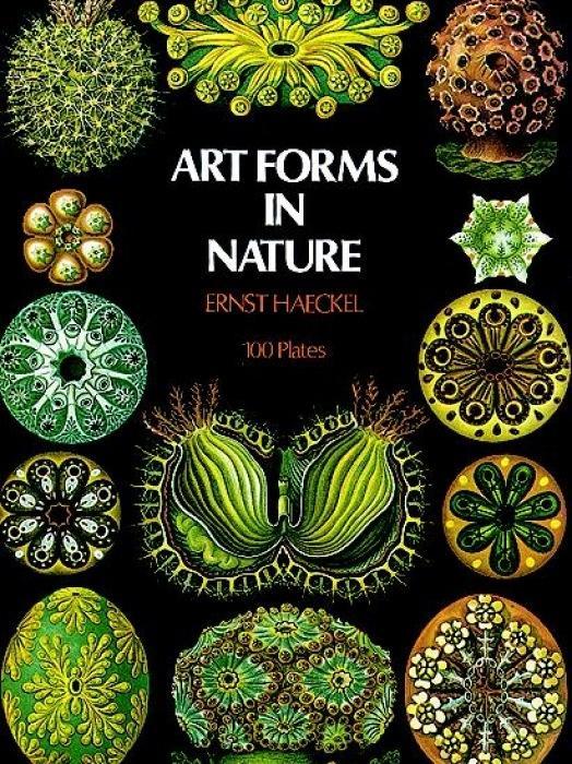 Vorderes Coverbild Art Forms in Nature