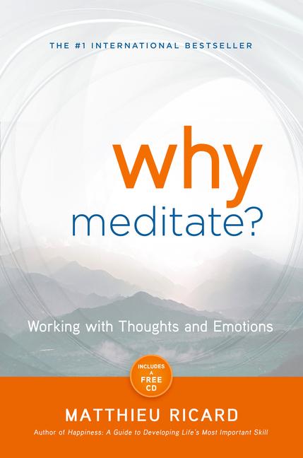 Vorderes Coverbild Why Meditate?