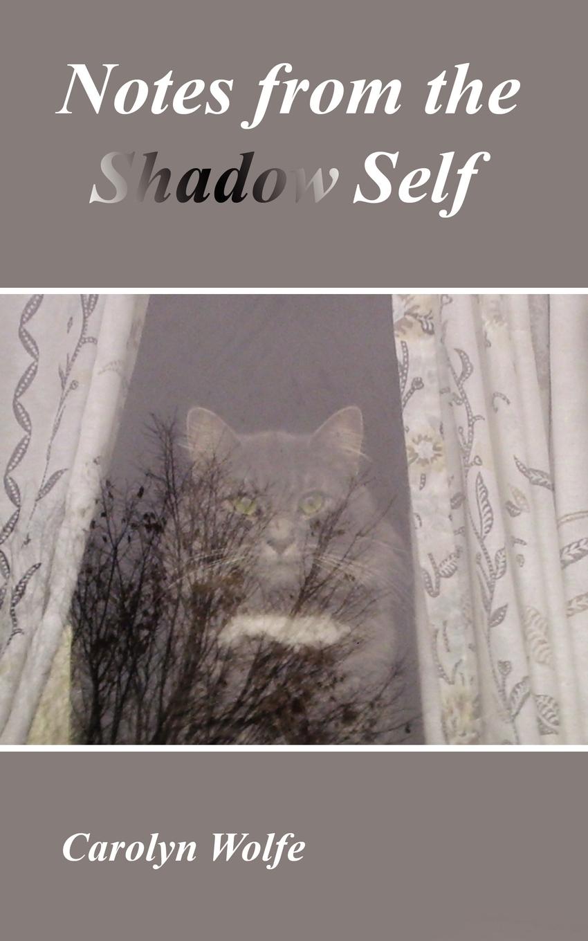 Vorderes Coverbild Notes from the Shadow Self