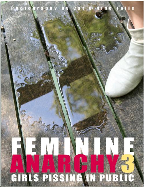 Vorderes Coverbild Feminine Anarchy 3