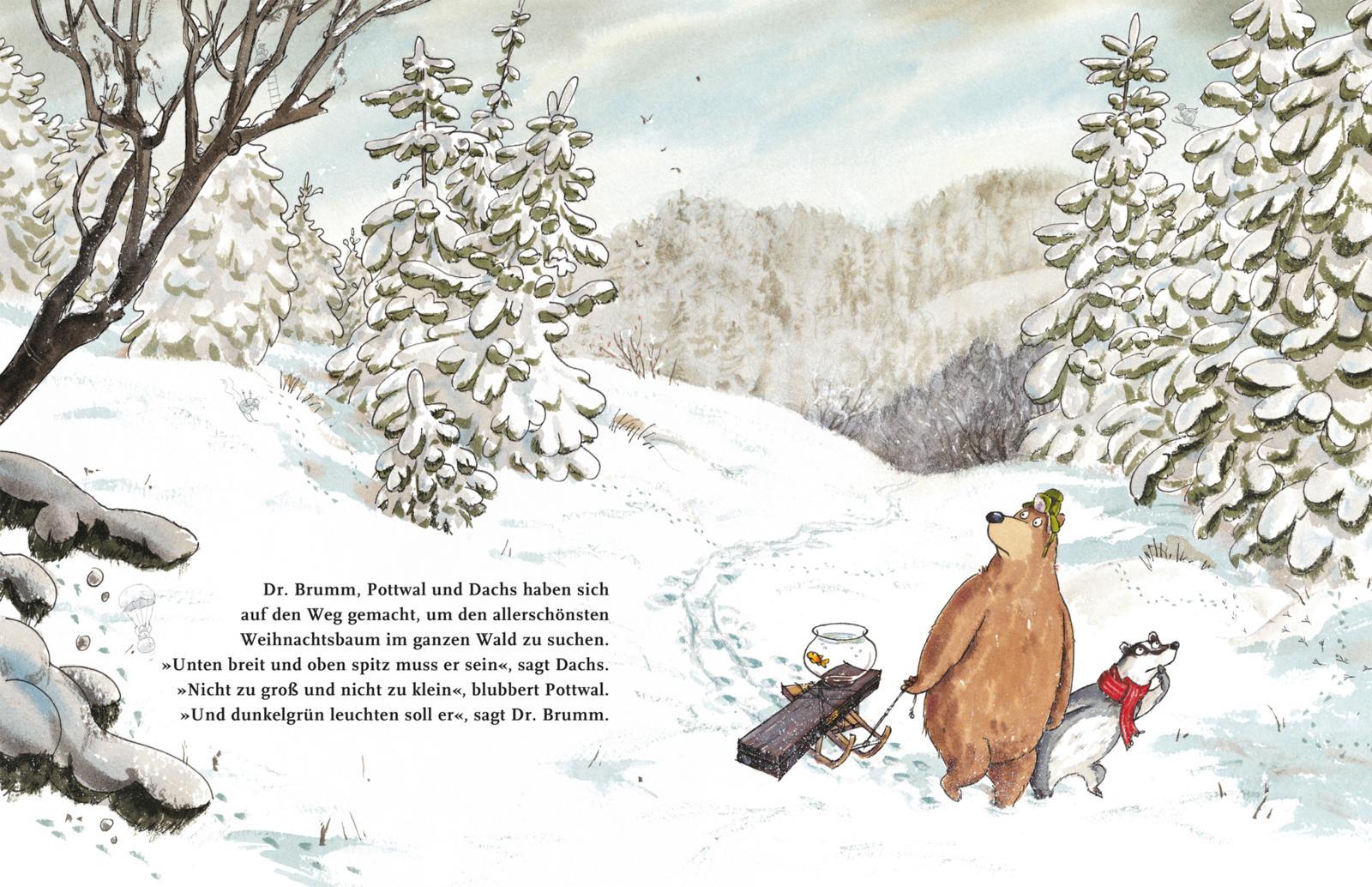 Beispielinhalt (Bild) Dr. Brumm feiert Weihnachten