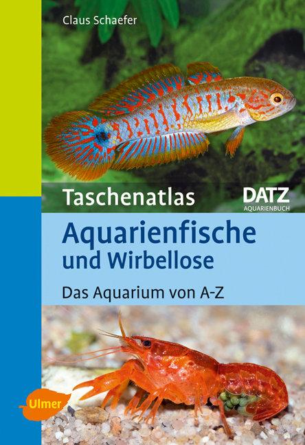 Vorderes Coverbild Taschenatlas Aquarienfische und Wirbellose