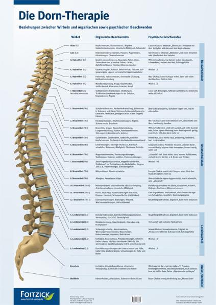 Vorderes Coverbild Die Dorn-Therapie. Poster 59,4 x 84 cm