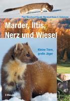 Vorderes Coverbild Marder, Iltis, Nerz und Wiesel