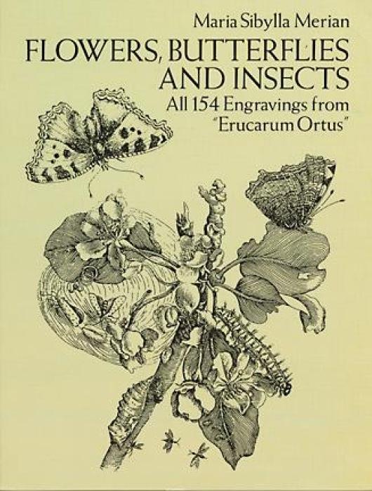 Vorderes Coverbild Flowers, Butterflies and Insects