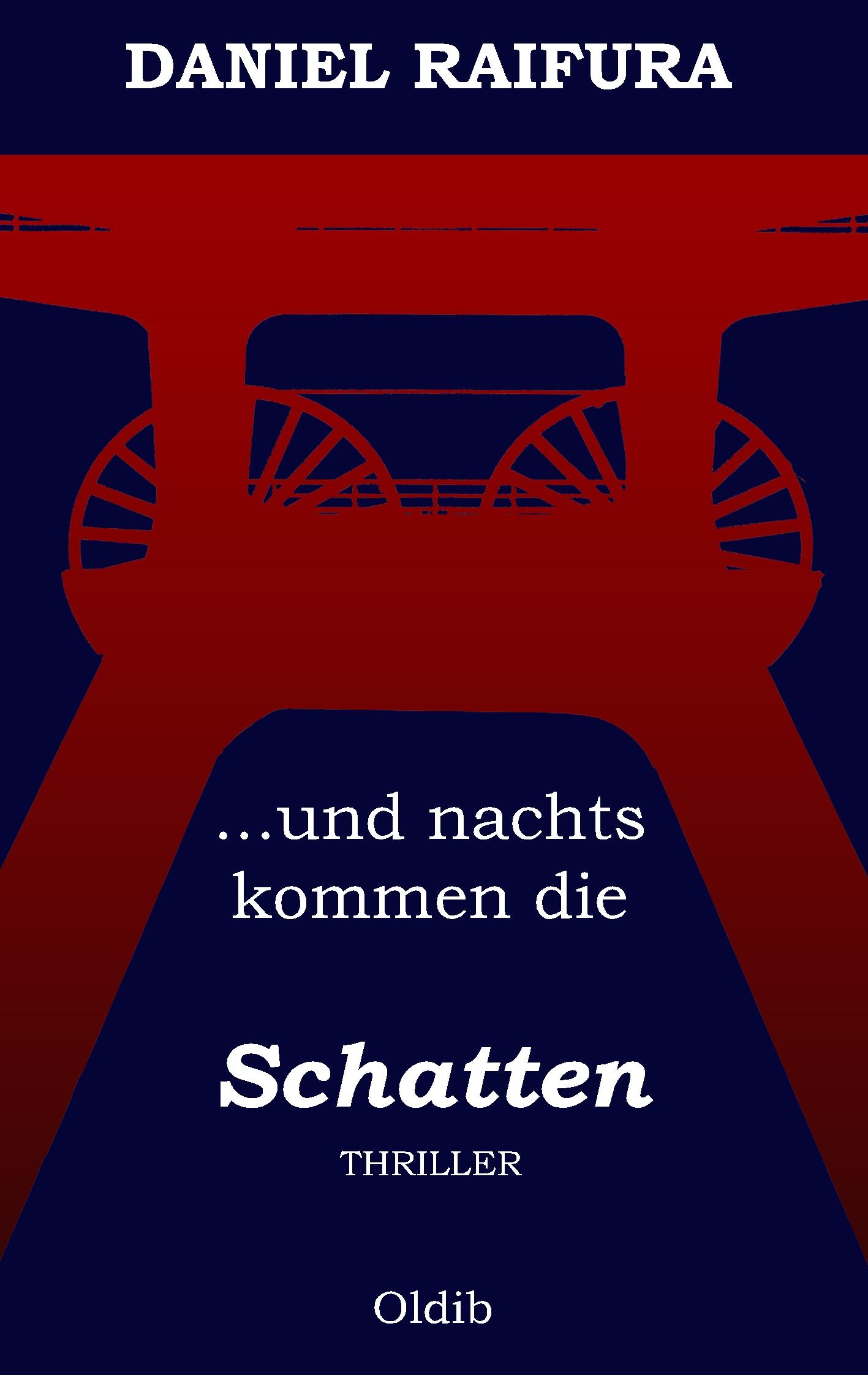 Vorderes Coverbild ...und nachts kommen die Schatten