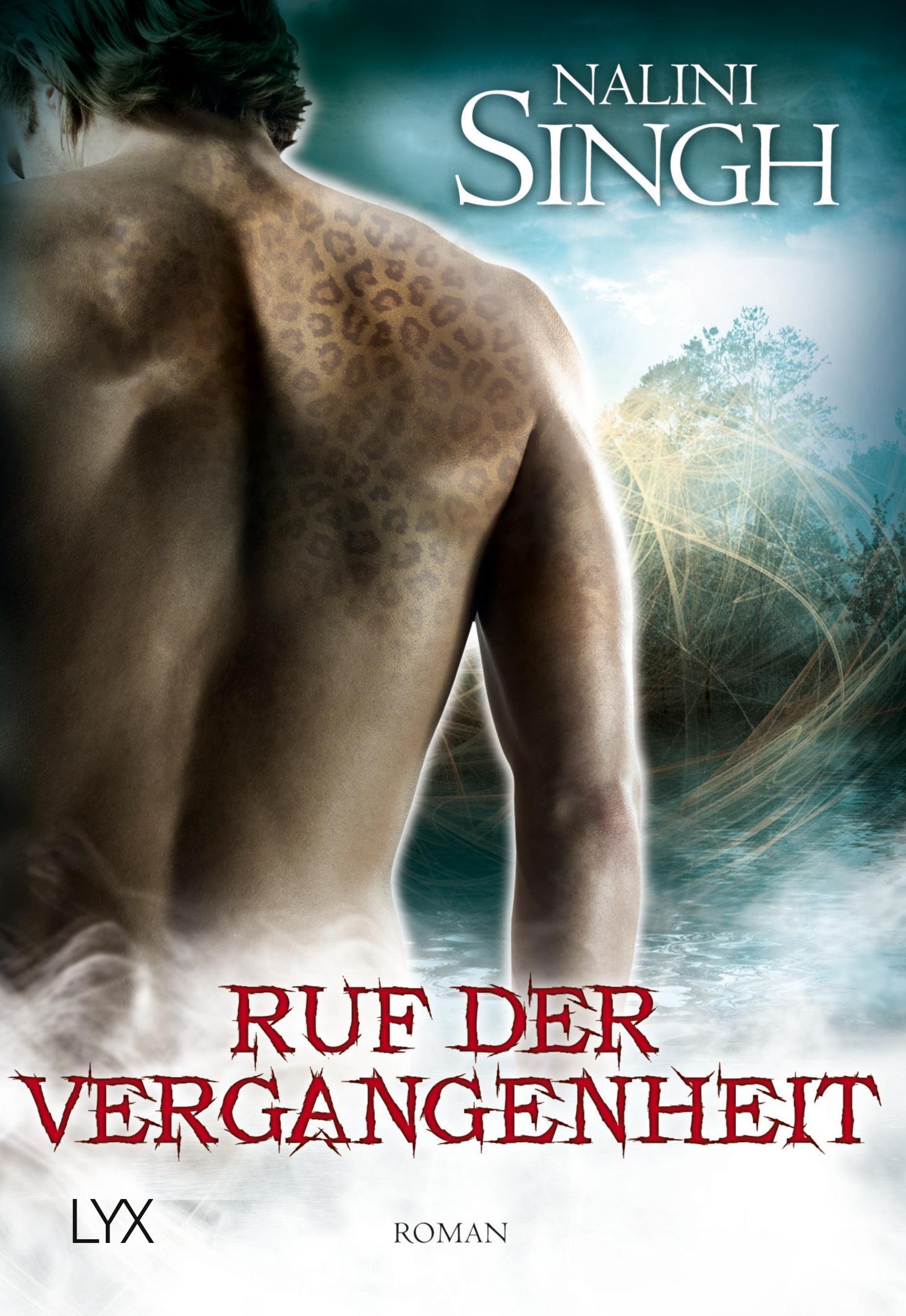 Vorderes Coverbild Ruf der Vergangenheit