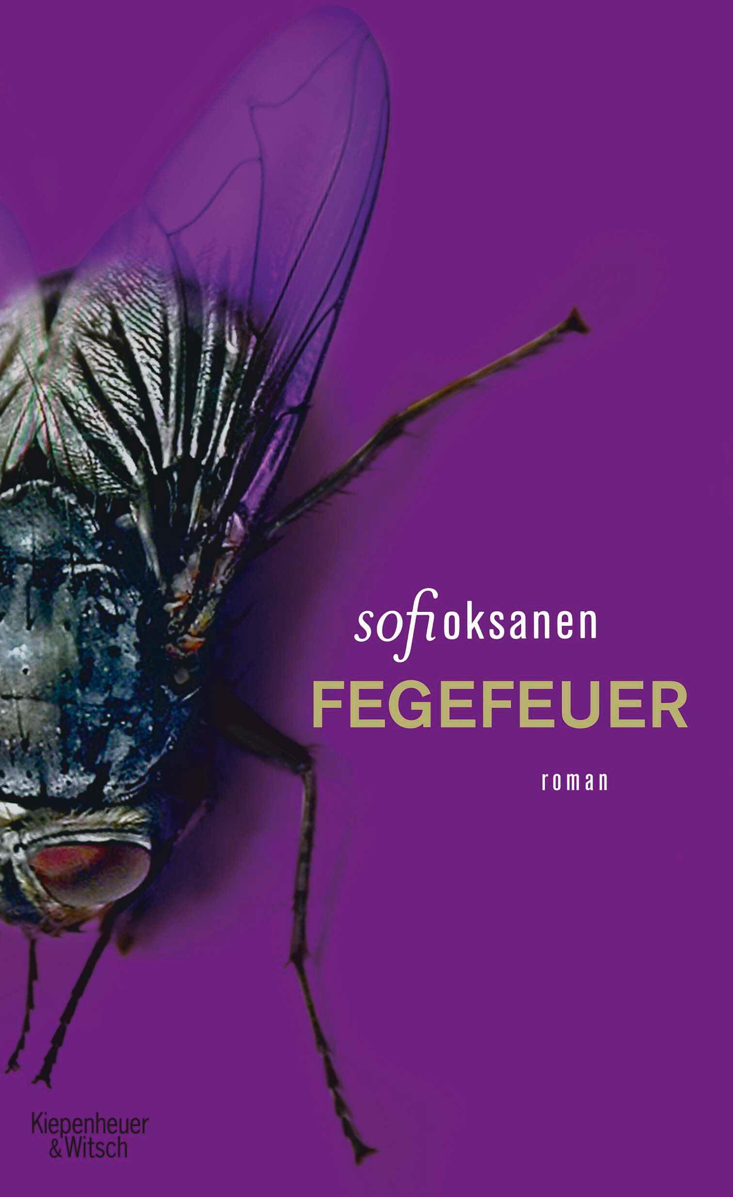 Vorderes Coverbild Fegefeuer