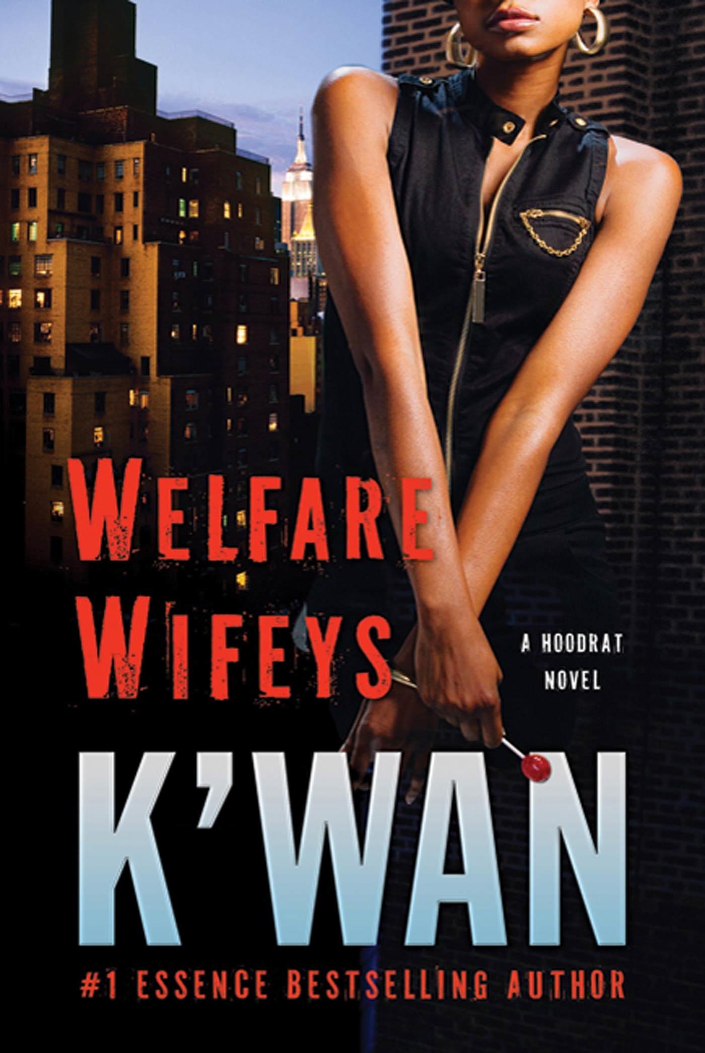 Vorderes Coverbild Welfare Wifeys