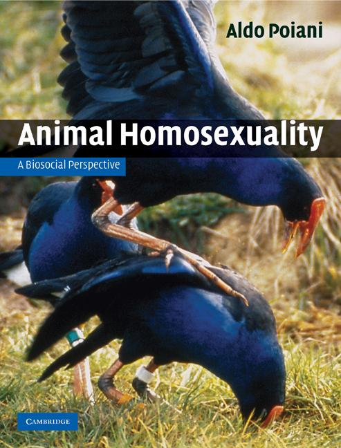 Vorderes Coverbild Animal Homosexuality