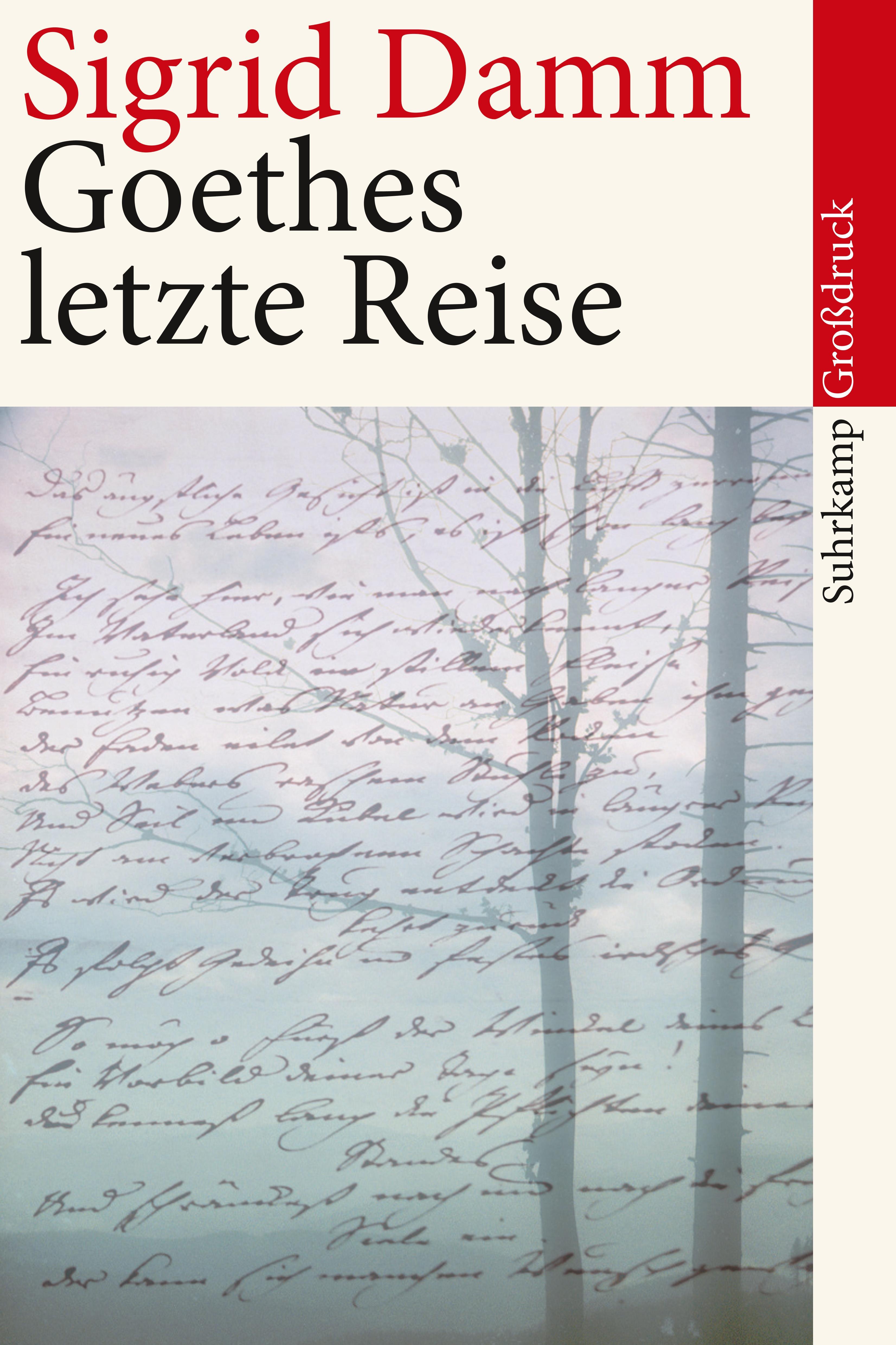 Vorderes Coverbild Goethes letzte Reise. Großdruck