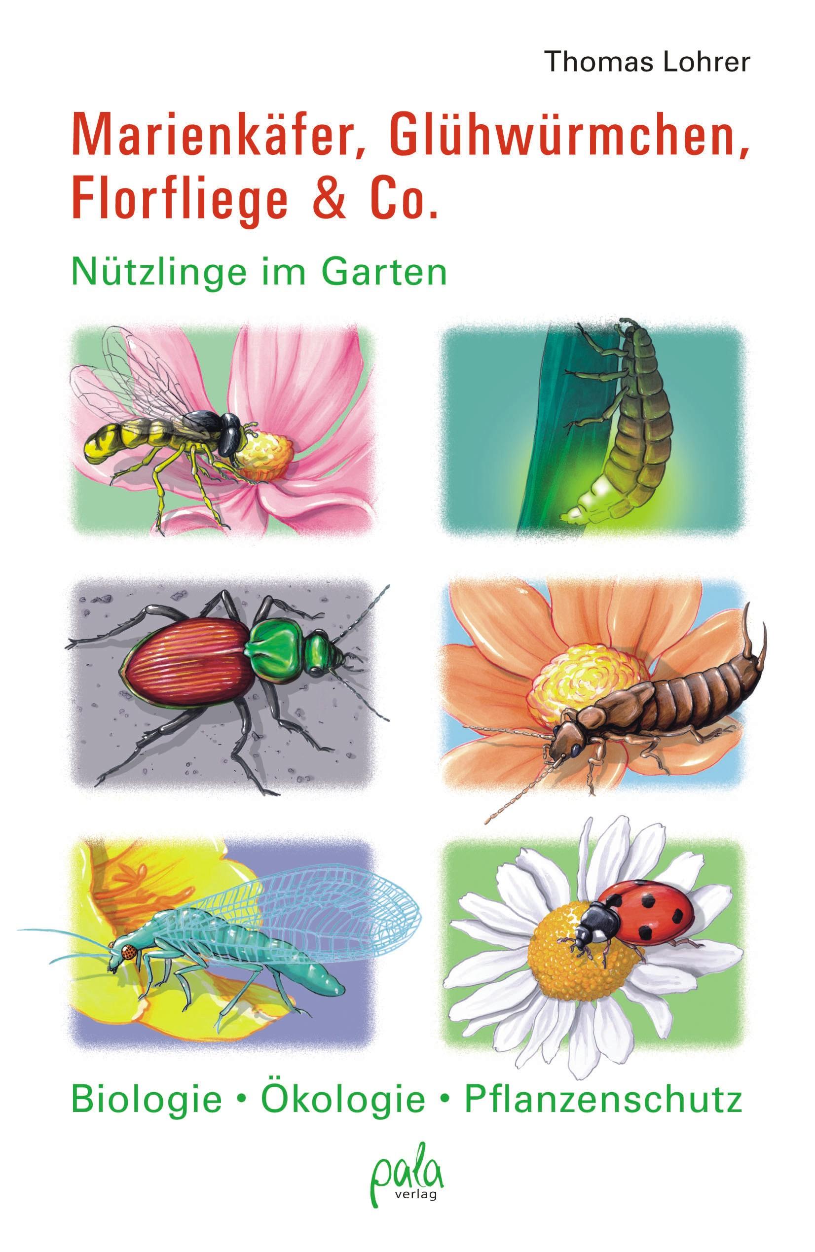Vorderes Coverbild Marienkäfer, Glühwürmchen, Florfliege & Co.
