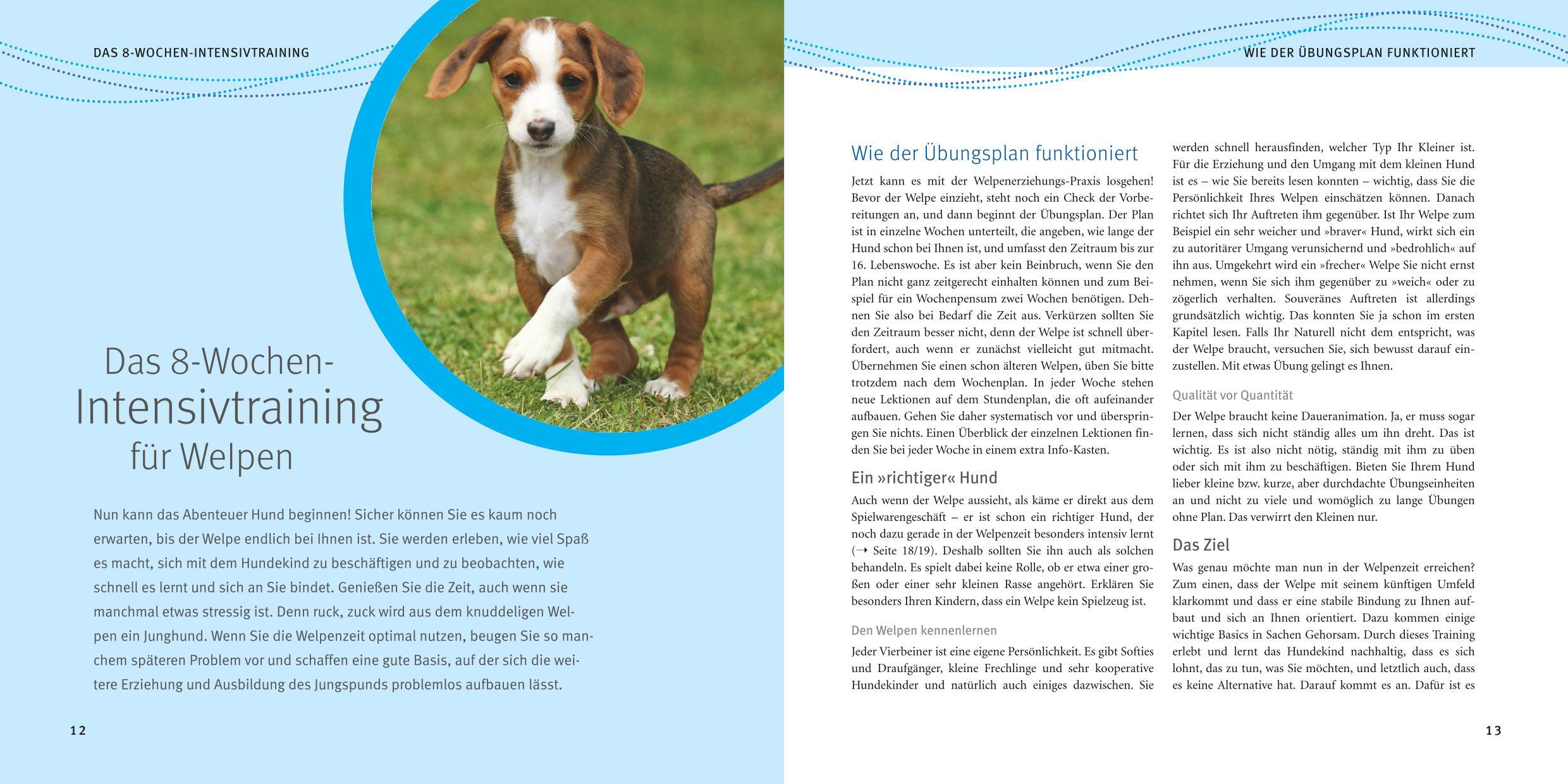 Beispielinhalt (Bild) Welpen-Erziehung